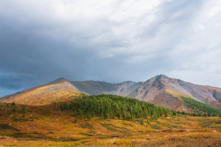 Scenic motley autumn landscape with forest on sunlit multicolor hill and rocky mountain range under dramatic sky. Vivid autumn colors in mountains. Sunlight and shadows of clouds in changeable weatherの写真素材