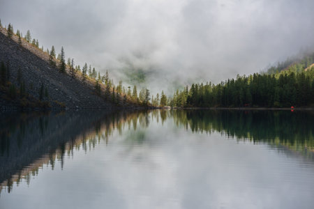 Tranquil meditative scenery of glacial lake with pointy fir tops reflection and forest hill in thick low clouds. Graphic EQ of spruce tops on alpine lake in dense fog. Mountain lake at early morning.の写真素材