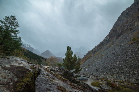 Mossy cracked rock among coniferous trees against pyramid shaped mountain silhouette during rain in overcast. Gloomy view to crack stone and snowy mountains under gray cloudy sky. Fading autumn colorsの写真素材