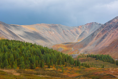 Scenic motley autumn landscape with forest on sunlit multicolor hill and rocky mountain range under dramatic sky. Vivid autumn colors in mountains. Sunlight and shadows of clouds in changeable weatherの写真素材