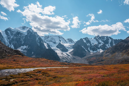 Creek among red thickets on sunlit pass with view to large snow mountain range with glaciers in autumn sunny day. Vivid autumn colors in high mountains. Motley hill and snowy mountains in bright sun.の写真素材