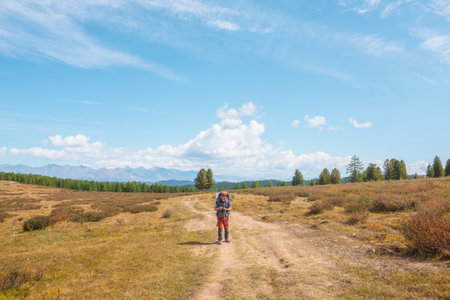 Alone traveler with large backpack walks along hiking trail on sunlit high mountain plateau under white clouds in blue sky. Backpacker with photo camera in autumn mountain trekking in good weather.の写真素材
