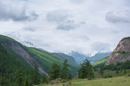 Atmospheric landscape with coniferous trees on green hill with view to high snow mountains âin rainy low clouds. Beautiful green mountain valley and forest on âsunlit hillside under gray cloudy sky.の写真素材