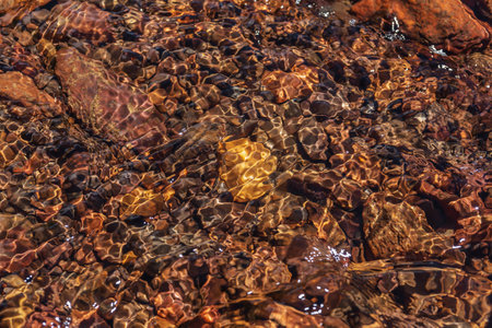 Nature background of clear water stream with motley stony bottom in sunlight. Colorful mountain stream texture with mineral water in bright sun. Pattern of sunlit multicolor stones in spring water.の写真素材