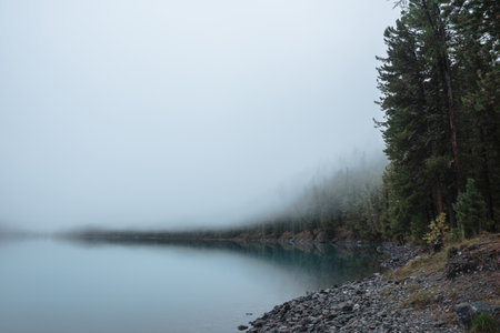 Tranquil scenery with stone shore of transparent mountain lake and coniferous trees silhouettes in dense fog. Pure alpine lake in mystery thick fog. Glacial lake and forest edge in misty early morningの写真素材