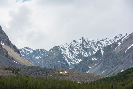 Dramatic top view to forest line and stone hill with trees against high snowy mountain range under gray cloudy sky. Awesome aerial view to large snow mountains under gray clouds in changeable weather.の写真素材