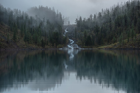 Mountain creek flows from forest hills into glacial lake in mysterious fog. Small river and coniferous trees reflected in calm alpine lake in early morning. Tranquil misty scenery with mountain lake.の写真素材