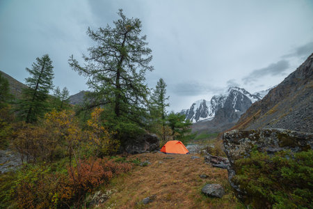 Dramatic landscape with alone orange tent on forest hill among rocks and autumn flora with view to large snowy mountain range under cloudy sky. Lonely tent and fading autumn colors in high mountains.の写真素材