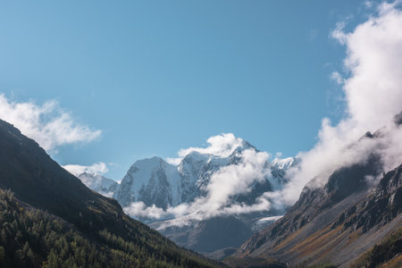 Scenic landscape with forest in autumn mountain valley against large snow mountains in low clouds in morning sunlight. Spruces on hillside with view to sunlit high snowy mountain range in low clouds.の写真素材