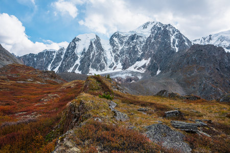 Grassy pointy rock among red thickets on sunlit pass against snow mountain range in autumn sunny day. Vivid autumn colors in high mountains. Motley shrubs with view to snowy mountains in bright sun.の写真素材