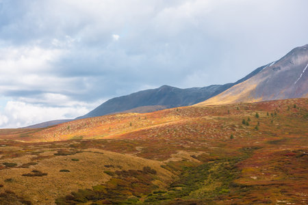 Motley autumn landscape with sunlit hills and mountain range silhouette under dramatic cloudy sky. Vivid autumn colors in mountains. Sunlight on multicolor hills and rainy clouds in changeable weatherの写真素材