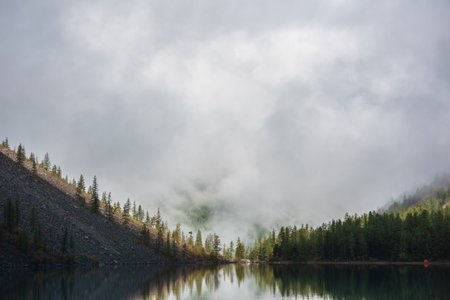 Tranquil meditative scenery of glacial lake with pointy fir tops reflection and forest hill in thick low clouds. Graphic EQ of spruce tops on alpine lake in dense fog. Mountain lake at early morning.の写真素材