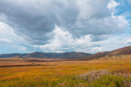 Motley autumn landscape with sunlit high mountain plateau and mountain range under dramatic sky. Vivid autumn colors in mountains. Sunlight and shadows of clouds in changeable weather. Sunny and rainyの写真素材