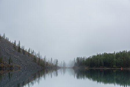 Tranquil meditative misty scenery of glacial lake with pointy fir tops reflection at early morning. Graphic EQ of spruce silhouettes on calm alpine lake horizon in mystery fog. Ghostly mountain lake.の写真素材