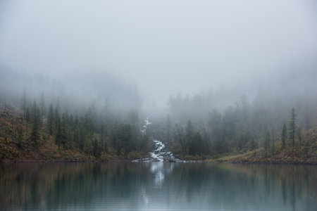 Mountain creek flows from forest hills into glacial lake in mysterious fog. Small river and coniferous trees reflected in calm alpine lake in misty morning. Tranquil landscape in fading autumn colors.の写真素材