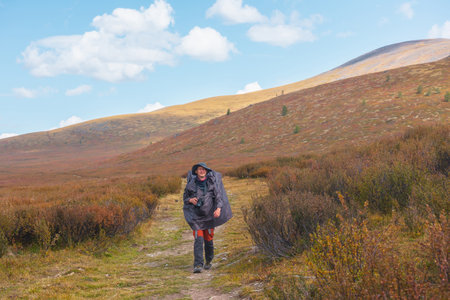 Alone traveler in raincoat with large backpack walks along hiking trail among fading autumn vegetations on high mountain plateau. Backpacker with photo camera in mountain trekking in rainy weather.の写真素材