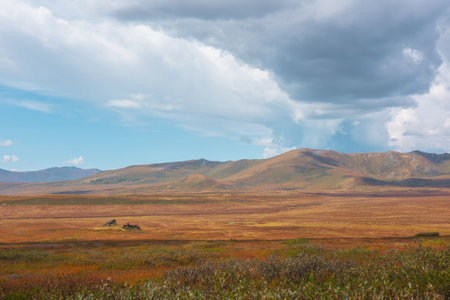 Motley autumn landscape with sunlit high mountain plateau and mountain range under dramatic sky. Vivid autumn colors in mountains. Sunlight and shadows of clouds in changeable weather. Sunny and rainyの写真素材