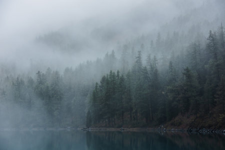 Tranquil atmospheric scenery with turquoise mountain lake and coniferous trees silhouettes in dense fog. Pure alpine lake in mystery thick fog. Calm glacial lake and forest edge in misty early morningの写真素材