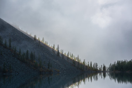 Tranquil meditative misty scenery of glacial lake and pointy fir tops on hill at early morning. Graphic EQ of spruce tops on hillside in golden sunlight on alpine lake in mystery fog. Mountain lake.の写真素材