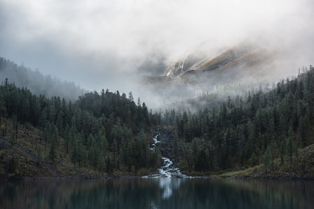 Mountain creek flows from forest hills into glacial lake. Tranquil scenery with rocks in clearance of mysterious fog. Small river and coniferous trees reflected in calm alpine lake in early morning.の写真素材