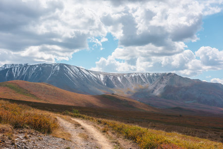 Motley autumn landscape with hiking trail on sunlit high plateau toward snowy mountain range under cloudy sky. Vivid autumn colors in mountains. Sunlight and shadows of clouds in changeable weather.の写真素材
