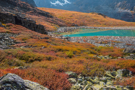 Colorful autumn landscape with sunlit multicolor flora and turquoise mountain lake. Motley vegetation and stones with view to beautiful alpine lake in sunlight. Vivid autumn colors in high mountains.の写真素材
