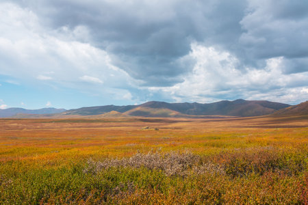 Motley autumn landscape with sunlit high mountain plateau and mountain range under dramatic sky. Vivid autumn colors in mountains. Sunlight and shadows of clouds in changeable weather. Sunny and rainyの写真素材