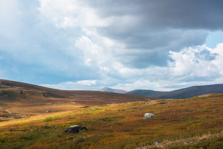 Motley autumn landscape with sunlit high mountain plateau under dramatic sky. Fading autumn colors in mountains. Hills in sunlight and shadows of clouds in changeable weather. Overcast in mountains.の写真素材