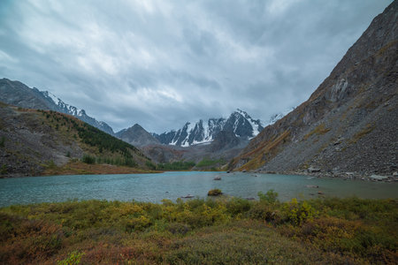 Motley autumn shrubs with view to alpine lake and snow mountain range in overcast. Mountain lake against large snowy mountains under gray cloudy sky. Fading autumn colors in high mountains during rainの写真素材