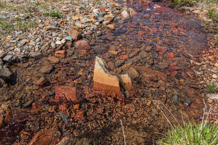 Sharp stone in clear water stream with motley stony bottom in sunlight. Colorful mountain stream with mineral water in bright sun. Picturesque top view to sunlit multicolor stones in spring water.の写真素材