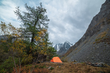 Dramatic landscape with alone orange tent on forest hill among rocks and autumn flora with view to large snowy mountain range under cloudy sky. Lonely tent and fading autumn colors in high mountains.の写真素材