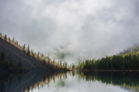 Tranquil meditative scenery of glacial lake with pointy fir tops reflection and forest hill in thick low clouds. Graphic EQ of spruce tops on alpine lake in dense fog. Mountain lake at early morning.の写真素材