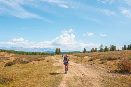 Alone traveler with large backpack walks along hiking trail on sunlit high mountain plateau under white clouds in blue sky. Backpacker with photo camera in autumn mountain trekking in good weather.の写真素材