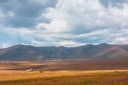 Motley autumn landscape with sunlit high mountain plateau and mountain range under dramatic sky. Vivid autumn colors in mountains. Sunlight and shadows of clouds in changeable weather. Sunny and rainyの写真素材