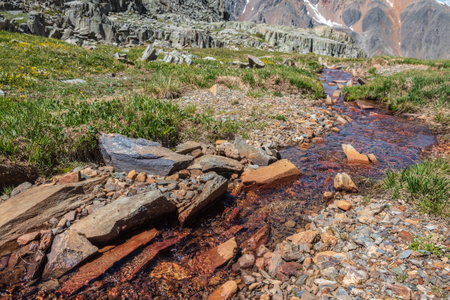 Multicolor stones in clear water stream with motley stony bottom among grasses and rocks in sunlight. Colorful mountain stream with mineral water in bright sun. Picturesque landscape with spring waterの写真素材
