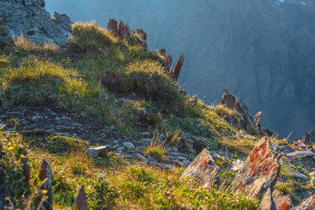 Colorful mountain scenery on abyss edge with sharp stones among green flora in sunlight. Sunny view from cliff at very high altitude. Scenic alpine landscape with beautiful sharp rocks in sunshine.の写真素材