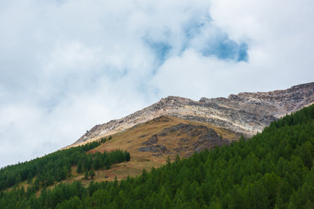 Scenic motley autumn landscape with coniferous forest on steep slope with of high mountain with old outliers on top in sunlight under cloudy sky. Vivid autumn colors in mountains in changeable weatherの写真素材