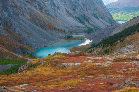 Picturesque landscape with blue alpine lake in colorful autumn valley. Azure mountain lake among multicolor flora. Vivid autumn colors in high mountains. Scenic view from red hill to beautiful lake.の写真素材