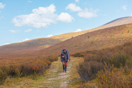 Alone traveler in raincoat with large backpack walks along hiking trail among fading autumn vegetations on high mountain plateau. Backpacker with photo camera in mountain trekking in rainy weather.の写真素材