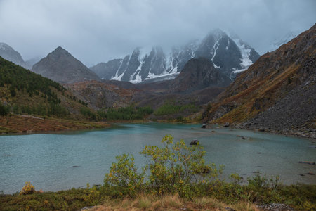 Gloomy view from grassy hill with small tree to alpine lake and snow mountain range in overcast. Mountain lake against large snowy mountains under gray cloudy sky. Fading autumn colors in mountains.の写真素材