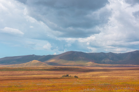 Motley autumn landscape with sunlit high mountain plateau and mountain range under dramatic sky. Vivid autumn colors in mountains. Sunlight and shadows of clouds in changeable weather. Sunny and rainyの写真素材