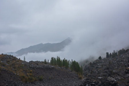 Dark atmospheric landscape with stone hill with forest and silhouette of mountain range in dense fog in rainy weather. Coniferous trees on rocky hills and black rocks in thick low clouds during rain.の写真素材