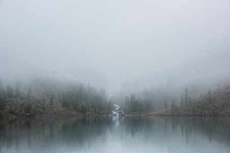 Mountain creek flows from forest hills into glacial lake in mysterious fog. Small river and coniferous trees reflected in calm alpine lake in misty morning. Tranquil landscape in fading autumn colors.の写真素材