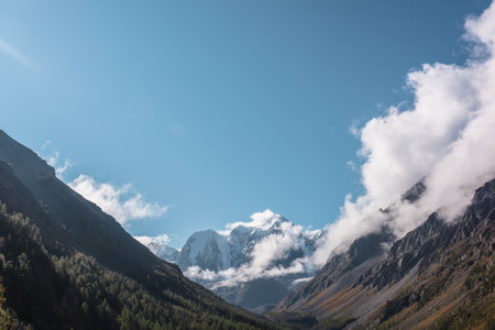 Scenic landscape with forest in autumn mountain valley against large snow mountains in low clouds in morning sunlight. Spruces on hillside with view to sunlit high snowy mountain range in low clouds.の写真素材