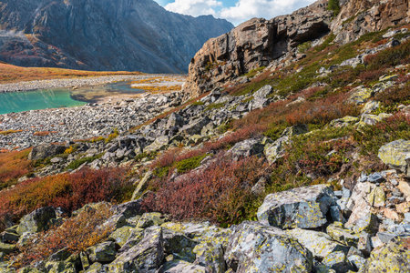 Colorful autumn landscape with sunlit multicolor flora and turquoise mountain lake. Motley vegetation and stones with view to beautiful alpine lake in sunlight. Vivid autumn colors in high mountains.の写真素材