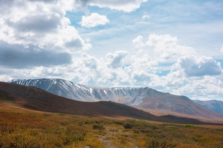 Motley autumn landscape with hills on high plateau and sunlit snowy mountain range under dramatic cloudy sky. Vivid autumn colors in mountains. Sunlight and shadows of clouds in changeable weather.の写真素材