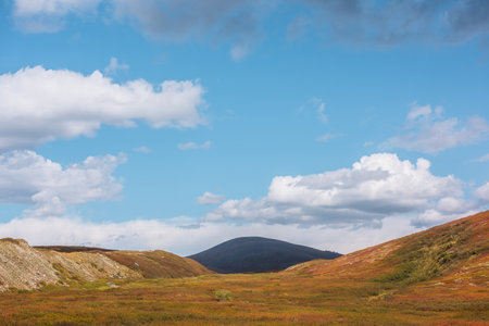 Motley autumn landscape with multicolor valley in sunlight and high dark mountain in shadow of large cloud in distance. Vivid autumn colors in mountains. Big black hill at far end of sunlit valley.の写真素材