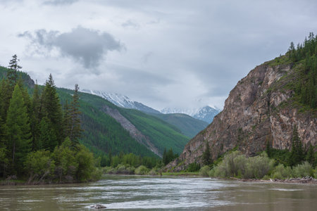 Atmospheric overcast landscape with wide mountain river and coniferous trees against snowy mountains in rainy low clouds. Gloomy scenery with large river and forest mountains under low gray cloudy skyの写真素材