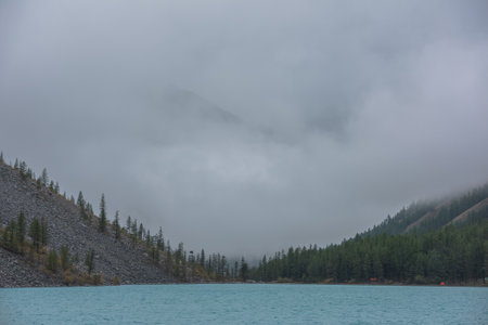 Dramatic meditate landscape with ripples on big azure mountain lake against pointy firs silhouettes in low clouds. Tranquil view to cyan alpine lake and peaked tops of spruces in low cloudy gray sky.の写真素材