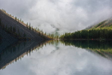 Tranquil meditative scenery of glacial lake with pointy fir tops reflection and forest hill in thick low clouds. Graphic EQ of spruce tops on alpine lake in dense fog. Mountain lake at early morning.の写真素材